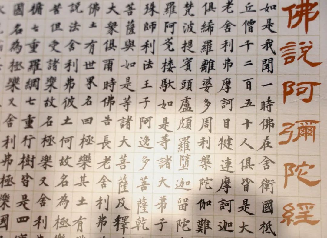 邹丹  阿弥陀经.jpg