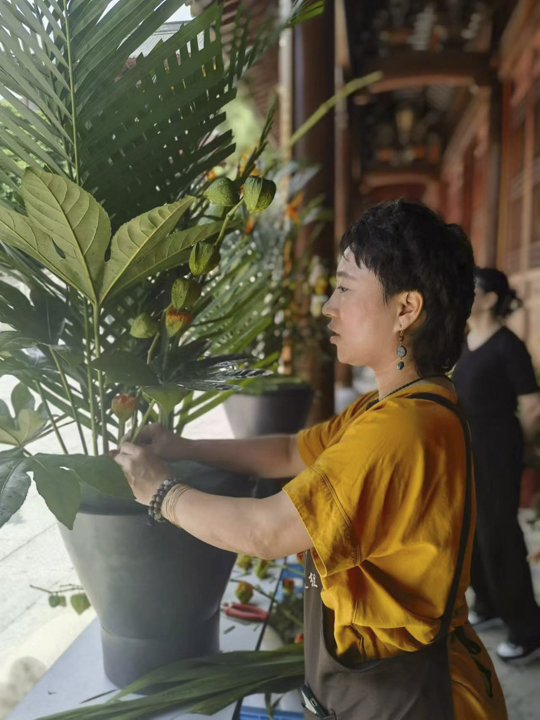 花道组