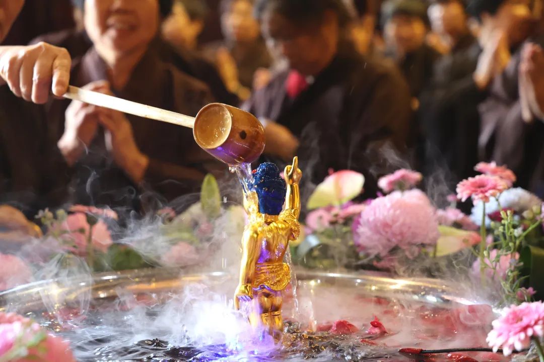 浴佛节｜浴佛祈福 共沐佛恩